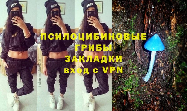 ешки Слюдянка