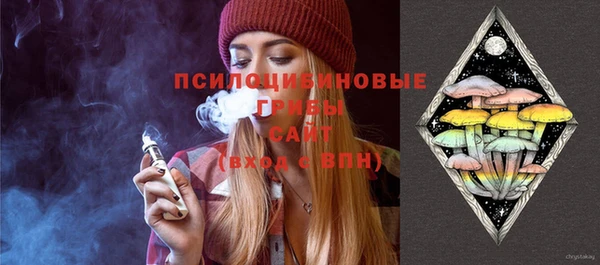 дживик Пестово