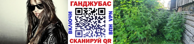 Бошки марихуана конопля  Киренск 
